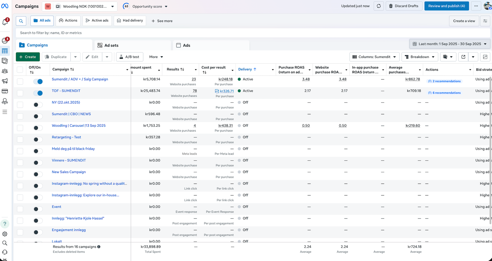Woodling NOK — Meta Ads dashboard